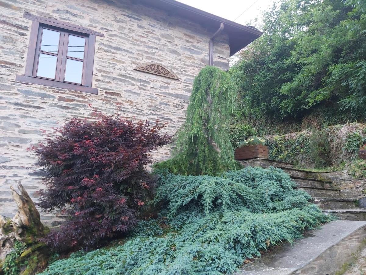 O Paxar Villa Samos Exterior photo